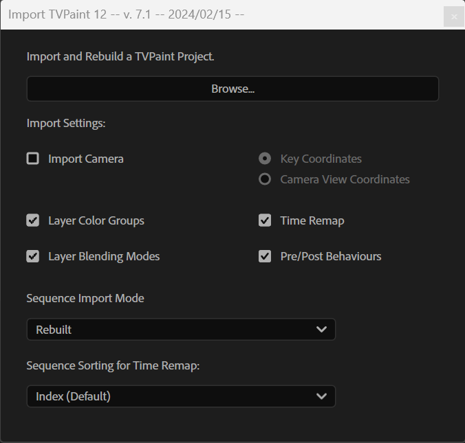 After Effects import script panel