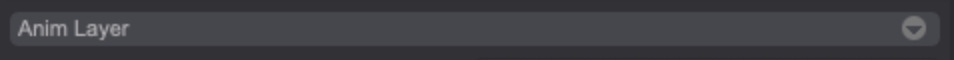 The Anim Layer menu