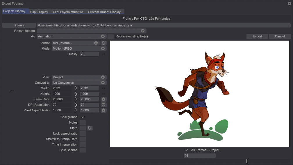 The Project Display tab layout