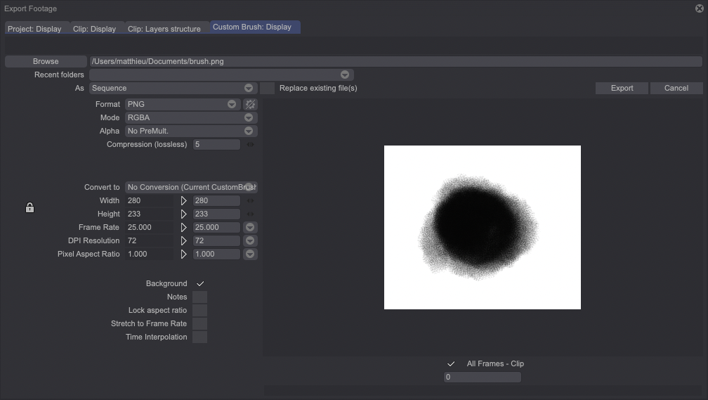 The Custom Brush tab layout