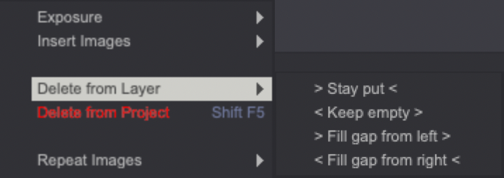 Delete From Layer options
