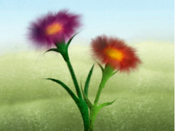 The Flowers Project