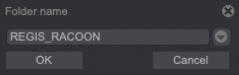 Naming the assets' root folder