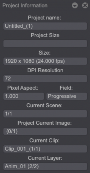 Project info. window