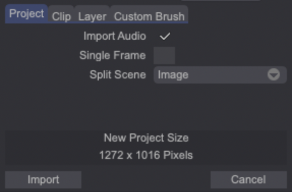 Importing a video as a Project